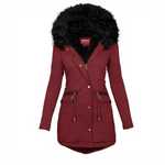 Celina™ Stylish Collar Jacket Davin Luxe
