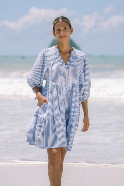 Blue Stripe Button Down Mini Dress