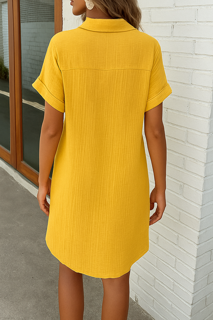 Monaco Button-Front Polo Shirt Dress